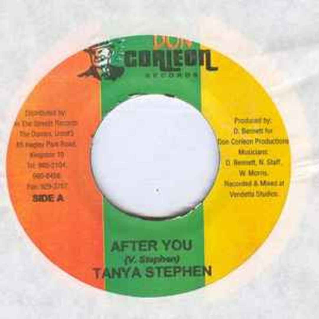 ジャマイカ7" Tanya Stephens After You none Don Corleon Records /00080 エンタメ/ホビーのエンタメ その他(その他)の商品写真