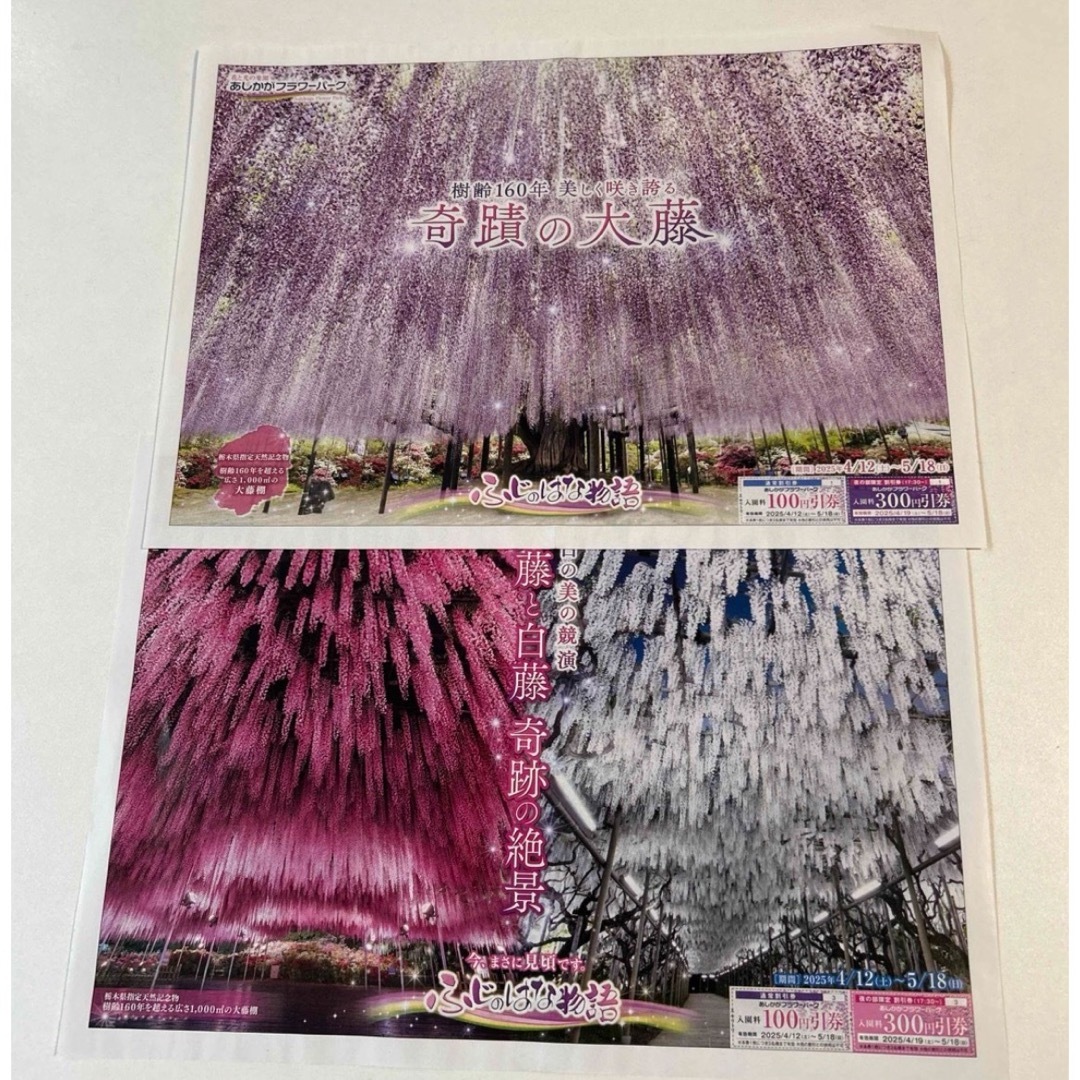 あしかがフラワーパーク割引券2枚 チケットの施設利用券(遊園地/テーマパーク)の商品写真