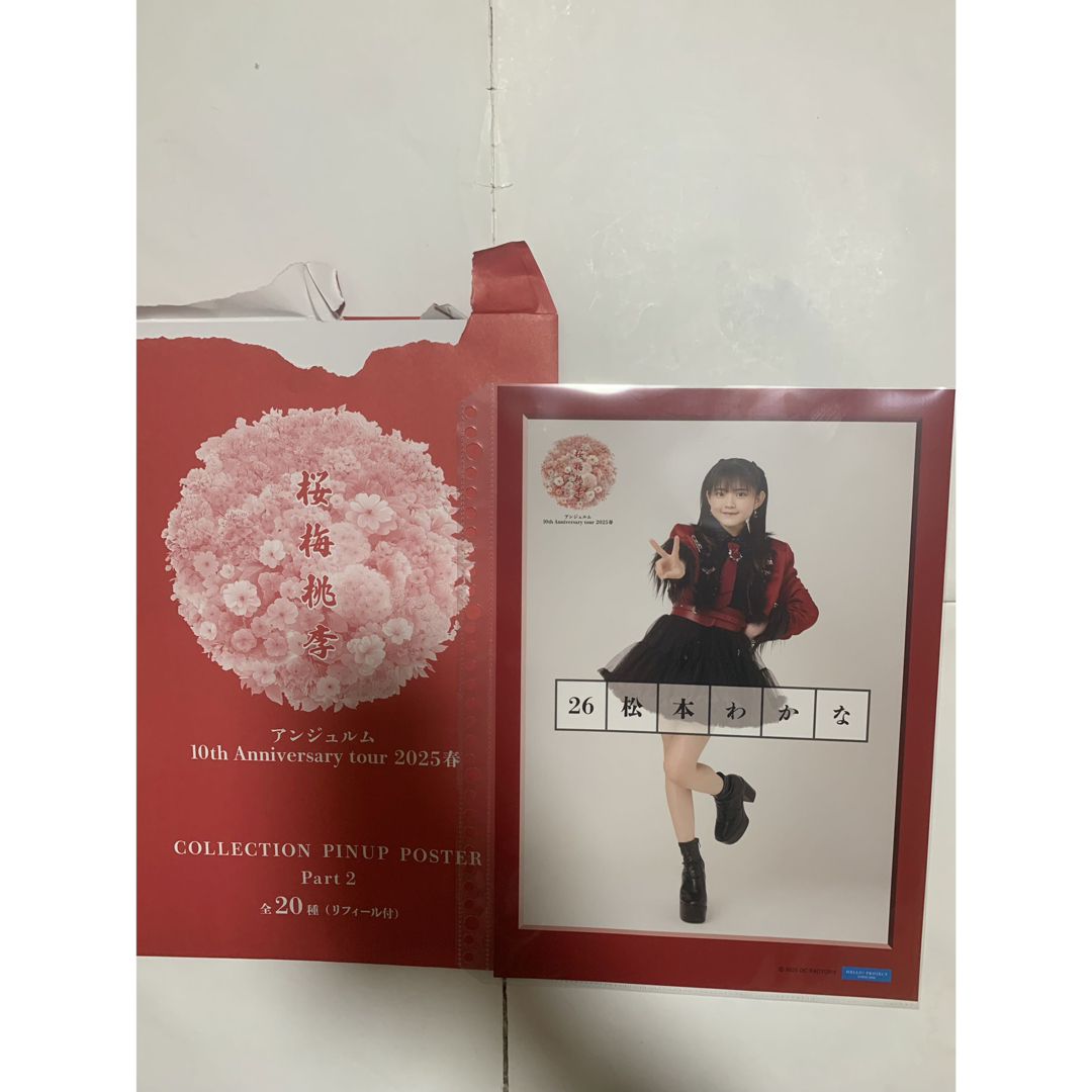 HELLO!PROJECT(ハロープロジェクト)のアンジュルム 松田わかな ピンポス ピンナップポスター 桃梅桃李 エンタメ/ホビーのタレントグッズ(アイドルグッズ)の商品写真