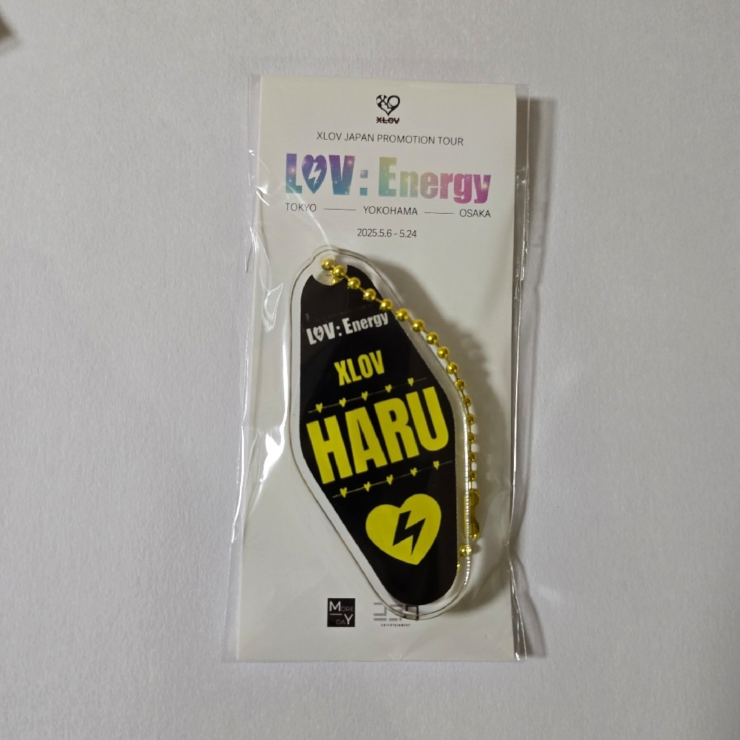 XLOV JAPAN PROMOTION TOUR キーリング HARU ハル エンタメ/ホビーのタレントグッズ(アイドルグッズ)の商品写真