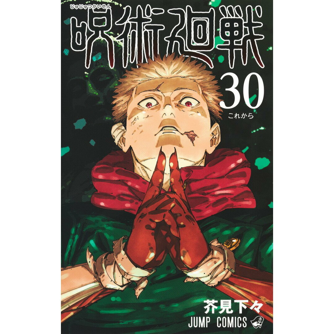 呪術廻戦 30/集英社/芥見下々(コミック) エンタメ/ホビーの漫画(少年漫画)の商品写真