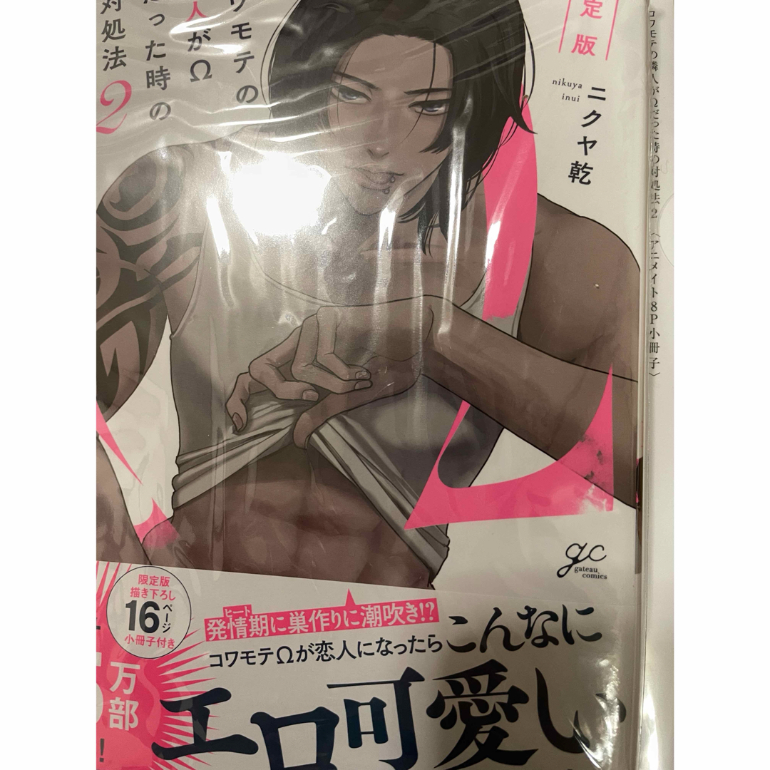 一迅社(イチジンシャ)のコワモテの隣人がΩだった時の対処法2 エンタメ/ホビーの漫画(ボーイズラブ(BL))の商品写真