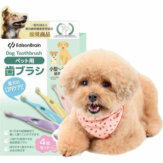犬 猫 歯ブラシ 極細毛ペット用 ナノ歯ブラシ ペットの健康を守る(ノーカラージャケット)