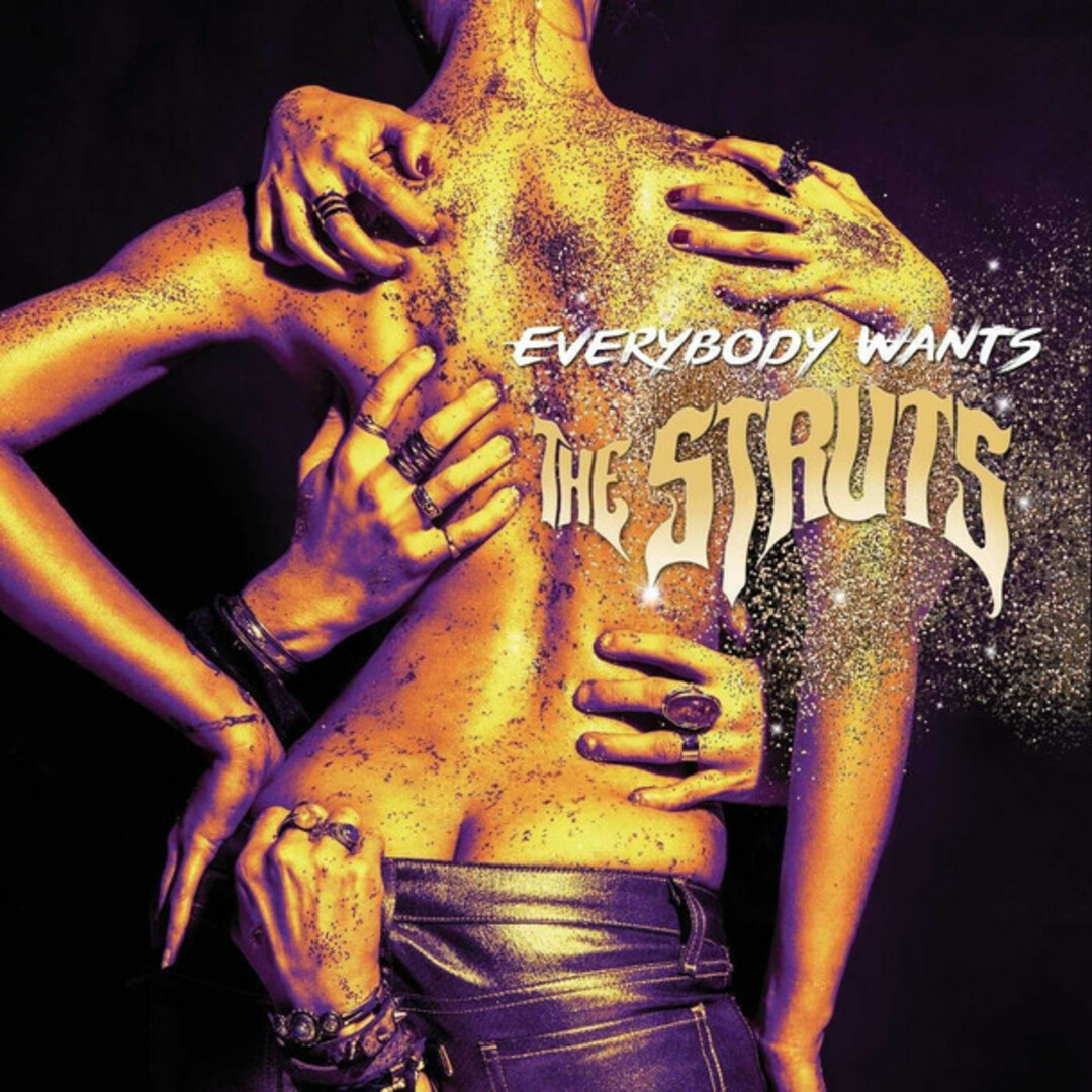 CD Struts Everybody Wants 0602547777300 FreeSolo Music /00110 エンタメ/ホビーのCD(ポップス/ロック(洋楽))の商品写真