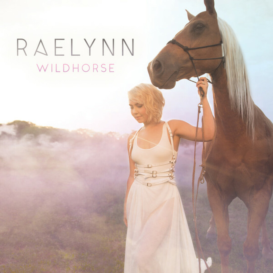 CD RaeLynn Wildhorse 5578492 Warner Bros. Records /00110 エンタメ/ホビーのCD(ポップス/ロック(洋楽))の商品写真