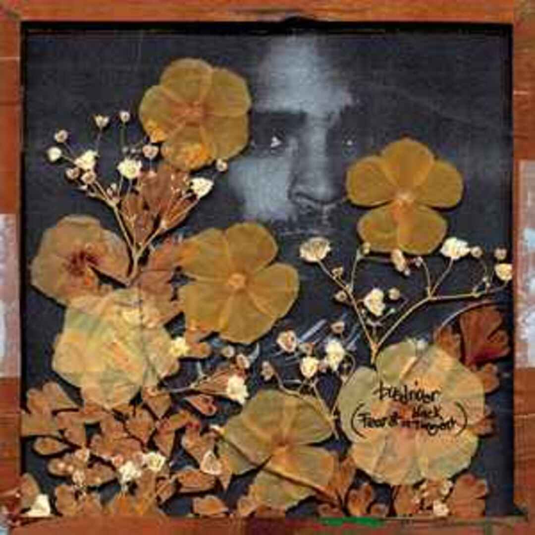 米CD Busdriver Fear Of A Black Tangent MH235 Mush Records /00110 エンタメ/ホビーのCD(ヒップホップ/ラップ)の商品写真