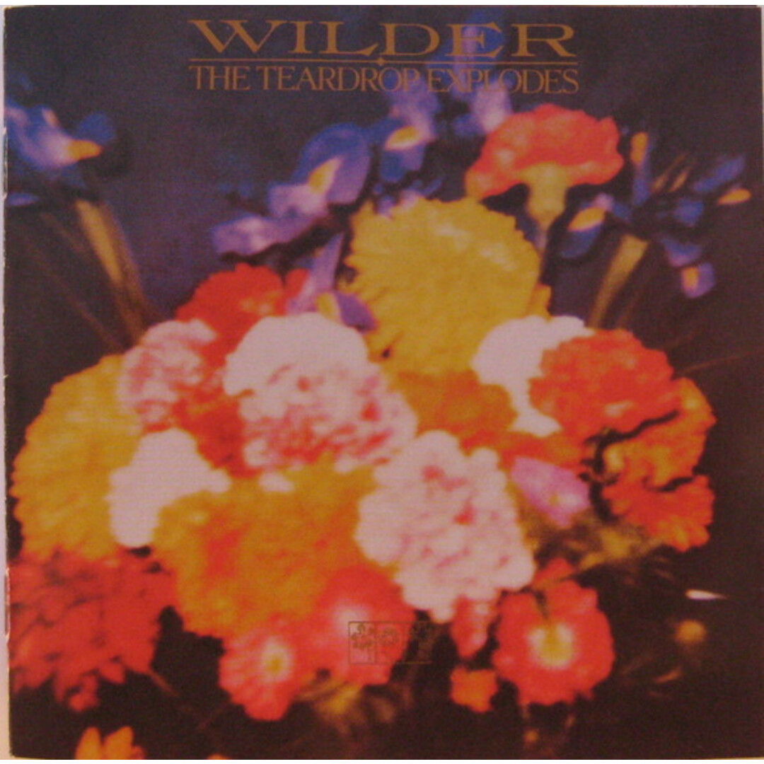 英、欧CD Teardrop Explodes Wilder 5482842 Mercury /00110 エンタメ/ホビーのCD(ポップス/ロック(洋楽))の商品写真