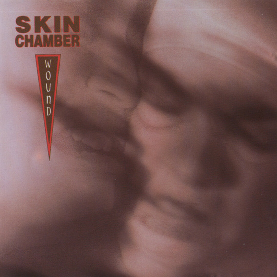 米CD Skin Chamber Wound RCD9274 R/C Records, R/C Records /00110 エンタメ/ホビーのCD(クラブ/ダンス)の商品写真