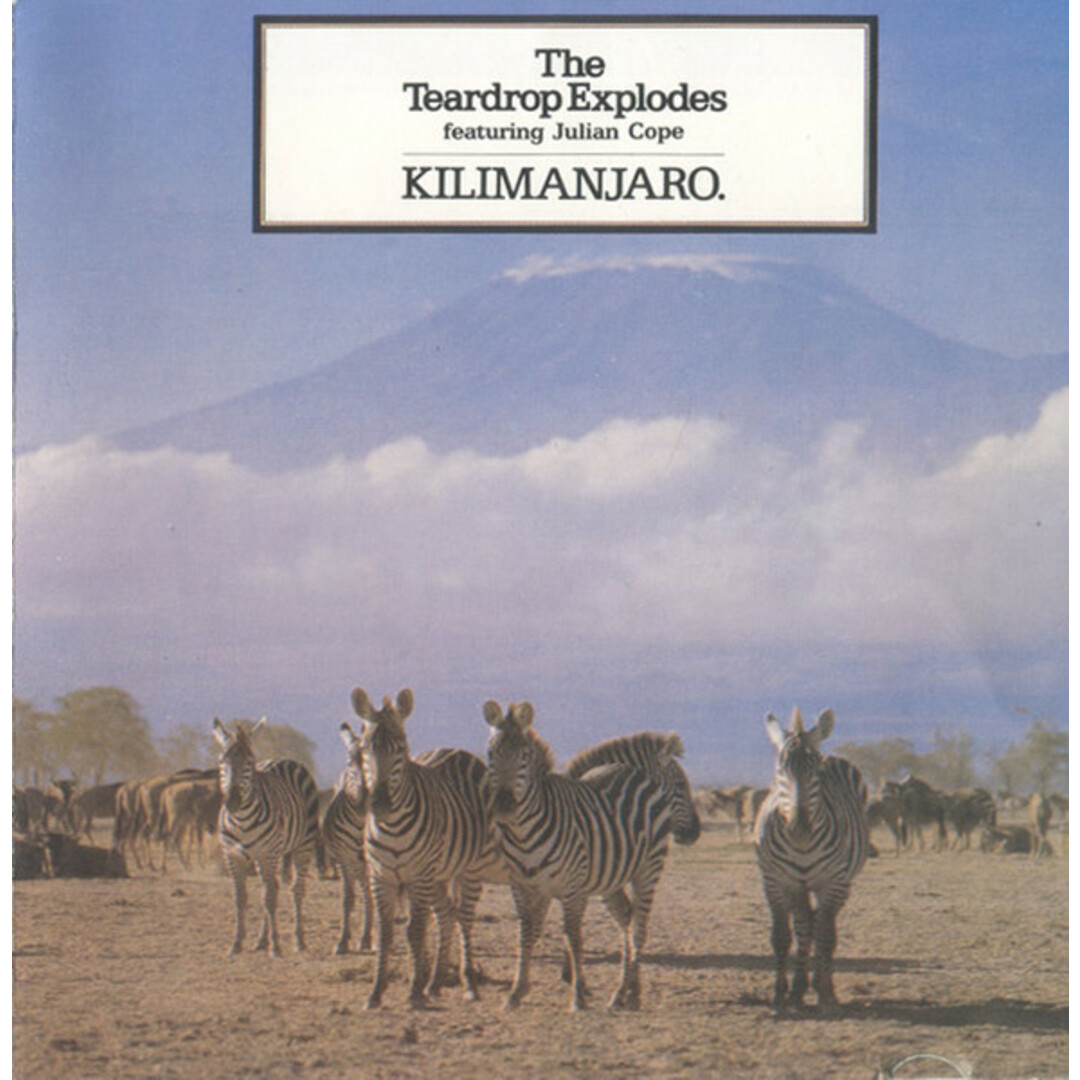 米CD Teardrop Explodes, Julian Cope Kilimanjaro LUCKY7CD Skyclad Records /00110 エンタメ/ホビーのCD(ポップス/ロック(洋楽))の商品写真