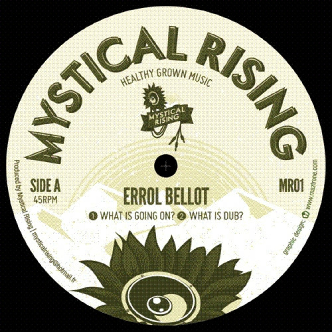 英12" Errol Bellot, Prince Terralox What Is Going On / Terror MR01 Mystical Rising /00250 エンタメ/ホビーのエンタメ その他(その他)の商品写真