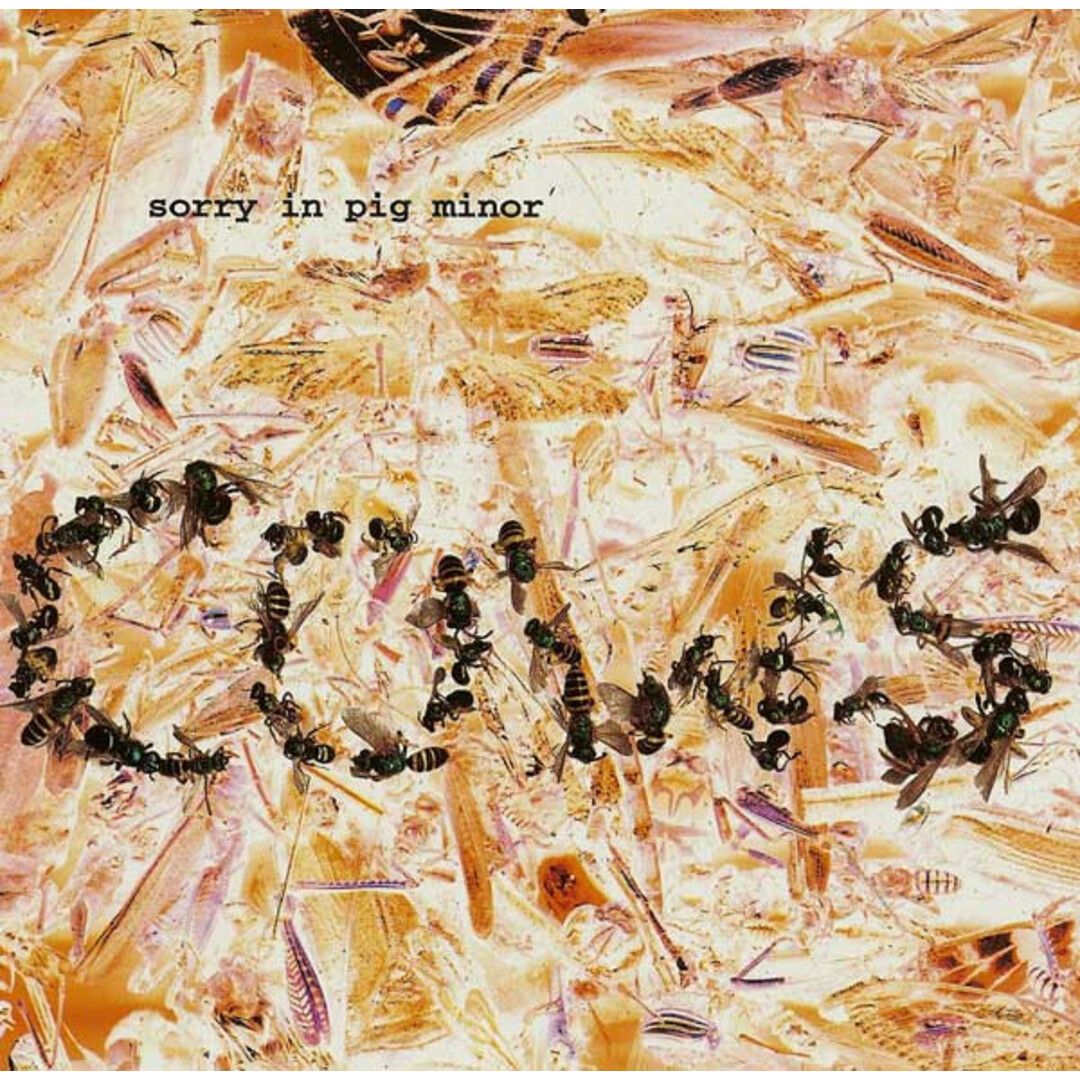 米CD Cows Sorry In Pig Minor AMREP0662 Amphetamine Reptile Records /00110 エンタメ/ホビーのCD(ポップス/ロック(洋楽))の商品写真