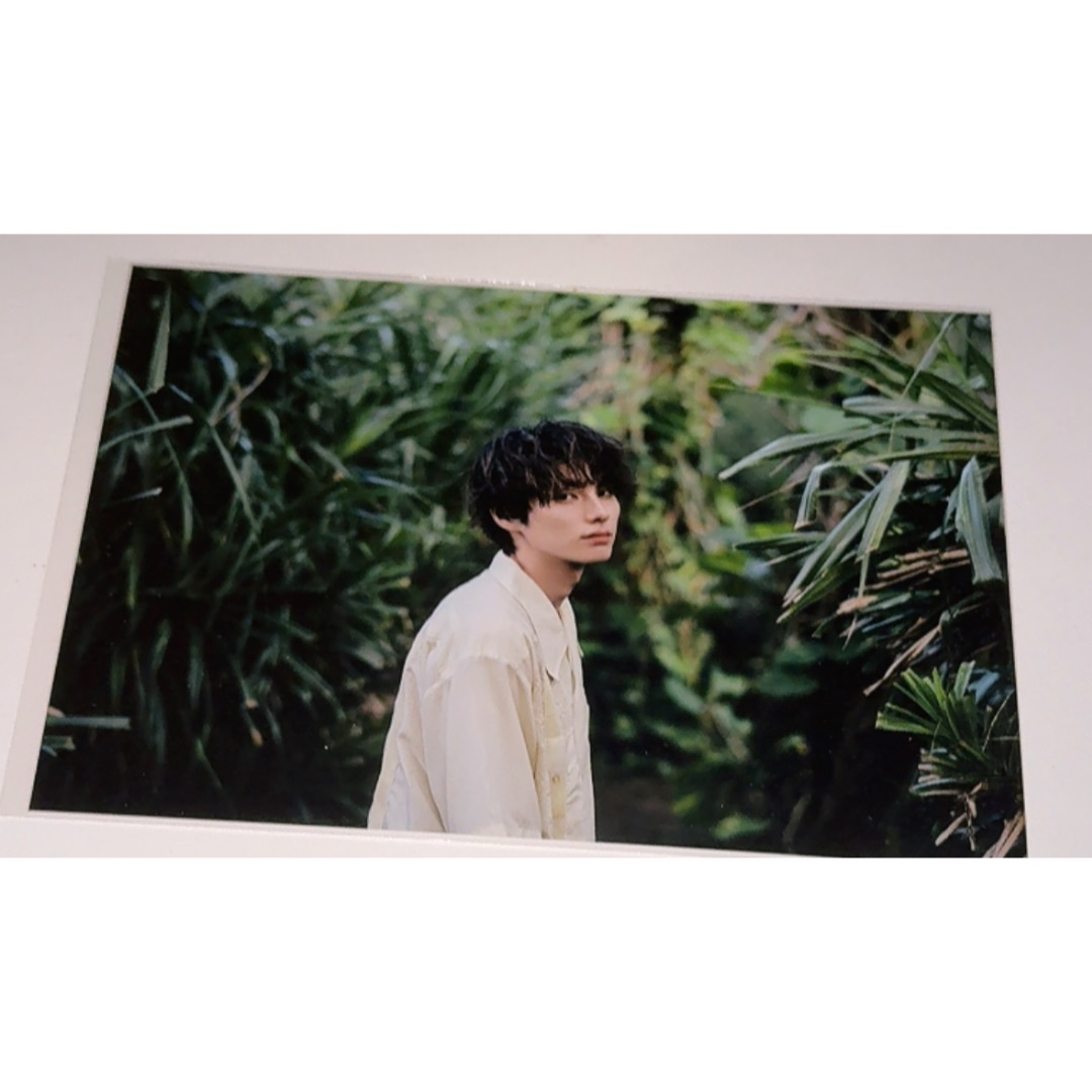 本田響矢 ブロマイド エンタメ/ホビーのタレントグッズ(男性タレント)の商品写真
