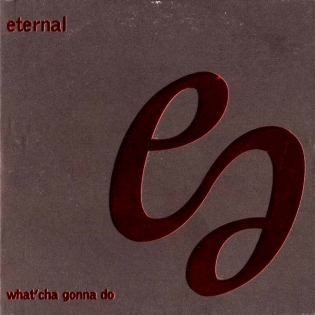 英CD Eternal WhatCha Gonna Do CDEMDJ552PROMO EMI 紙ジャケ プロモ /00110 エンタメ/ホビーのCD(ヒップホップ/ラップ)の商品写真