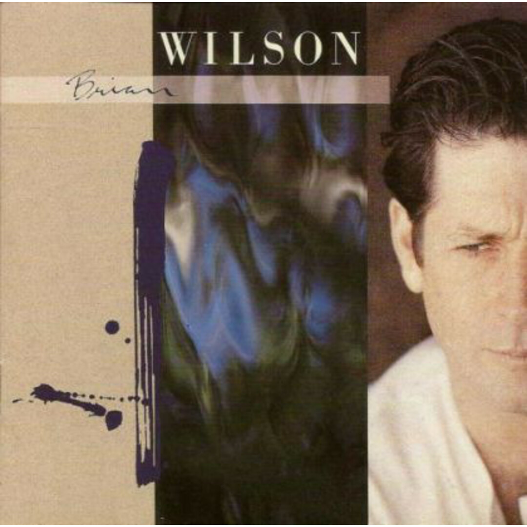 米CD Brian Wilson Brian Wilson 9256692 Sire /00110 エンタメ/ホビーのCD(ポップス/ロック(洋楽))の商品写真