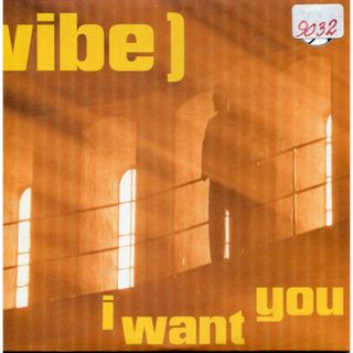 欧CD Vibe I Want You 74321240662 RCA, Soul Food 紙ジャケ /00110(R&B/ソウル)