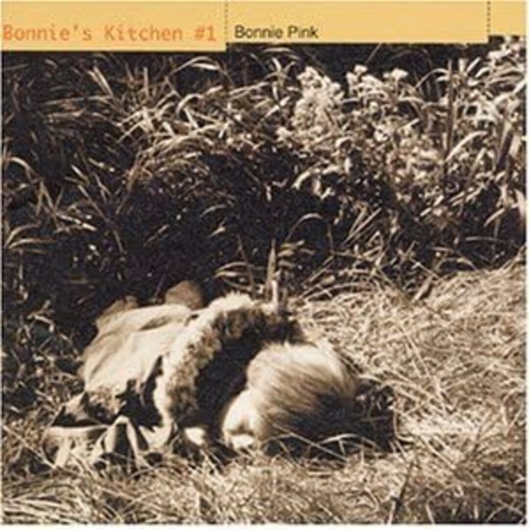 CD Bonnie Pink, 浅田香織, 井上富雄, 松田文, Shigeo Miyata; トーレ・ヨハンソン Bonnie´s Kitchen #1 PCCA01402PROMO プロモ /00110 エンタメ/ホビーのCD(ポップス/ロック(邦楽))の商品写真