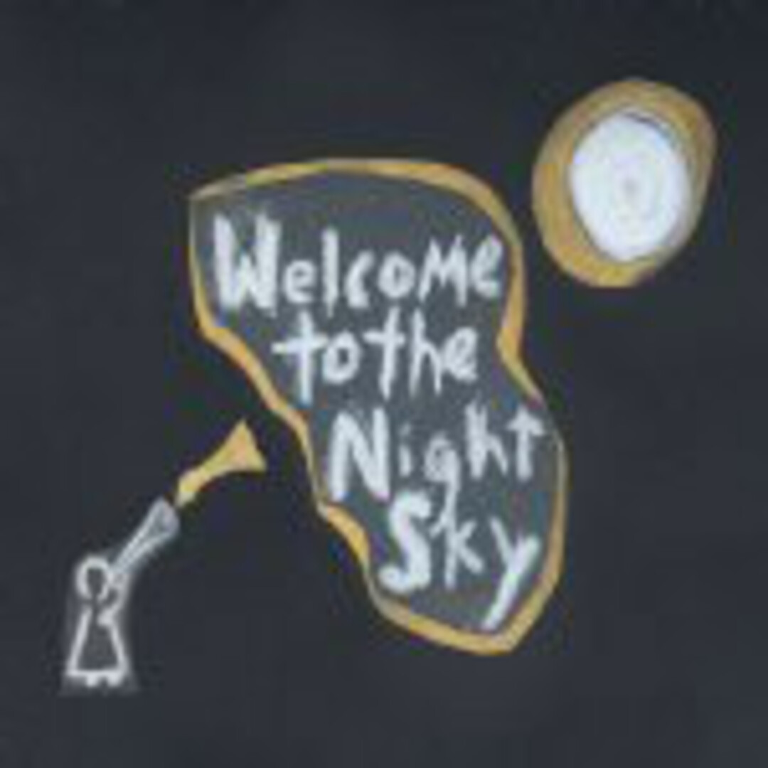 加CD Wintersleep Welcome to the Night Sky LWM003 Labwork Music /00110 エンタメ/ホビーのCD(ポップス/ロック(洋楽))の商品写真