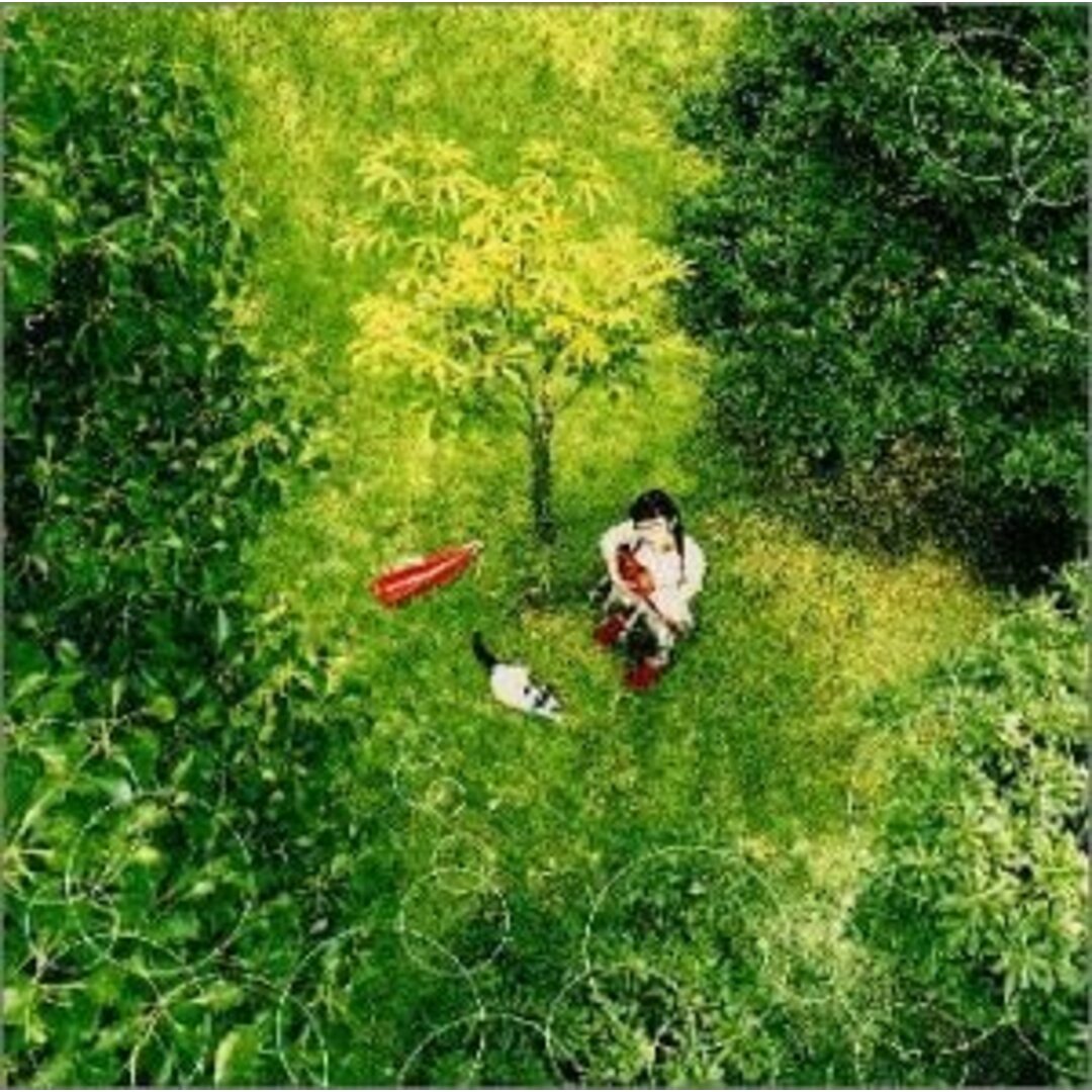 CD つじあやの 君への気持ち VICL60549 /00110 エンタメ/ホビーのCD(ポップス/ロック(邦楽))の商品写真