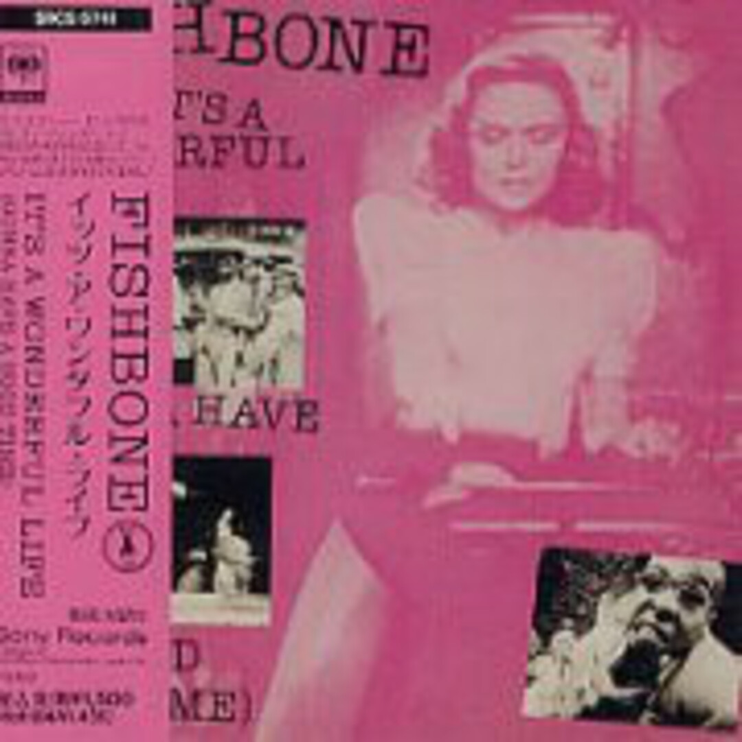 CD Fishbone Its A Wonderful Life SRCS5741 SONY /00110 エンタメ/ホビーのCD(ポップス/ロック(洋楽))の商品写真