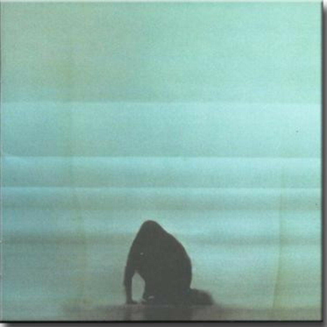 ブラジルCD Foals What Went Down LC14666 Transgressive Records, Warner Bros. Records /00110 エンタメ/ホビーのCD(ポップス/ロック(洋楽))の商品写真