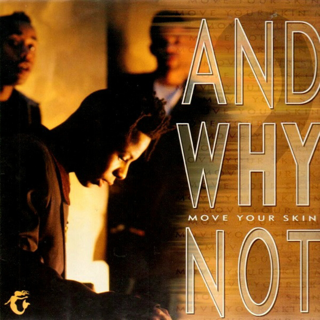 CD And Why Not Move Your Skin PSCD1013 Island Records /00110 エンタメ/ホビーのCD(ポップス/ロック(洋楽))の商品写真