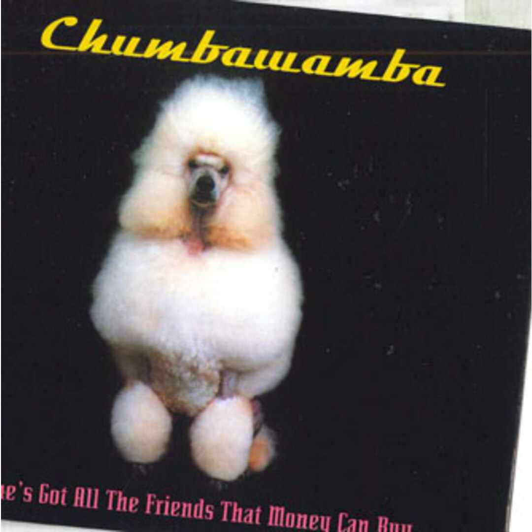 独CD Chumbawamba Shes Got All The Friends That Money Can Buy 724388820622 EMI /00110 エンタメ/ホビーのCD(ポップス/ロック(洋楽))の商品写真