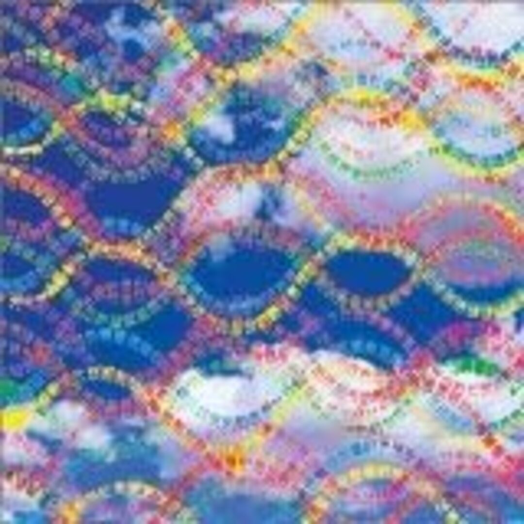 CD !!! (Chk Chk Chk) Louden Up Now BRC95PROMO Beat Records プロモ 未開封 /00110 エンタメ/ホビーのCD(クラブ/ダンス)の商品写真