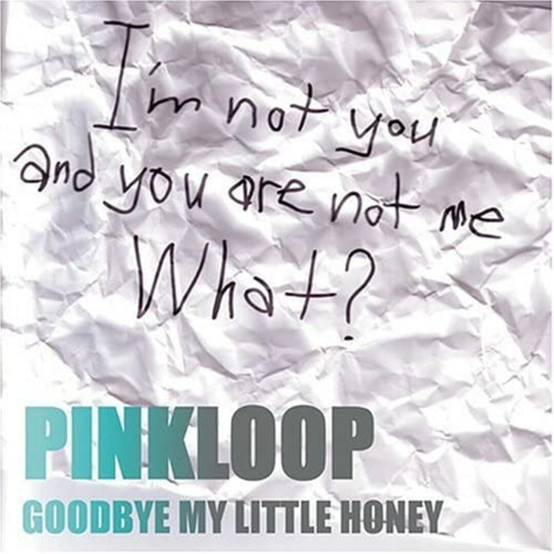 CD PINKLOOP GOODBYE MY LITTLE HONEY KOCA14 Grooovie Drunker Records /00110 エンタメ/ホビーのCD(ポップス/ロック(洋楽))の商品写真