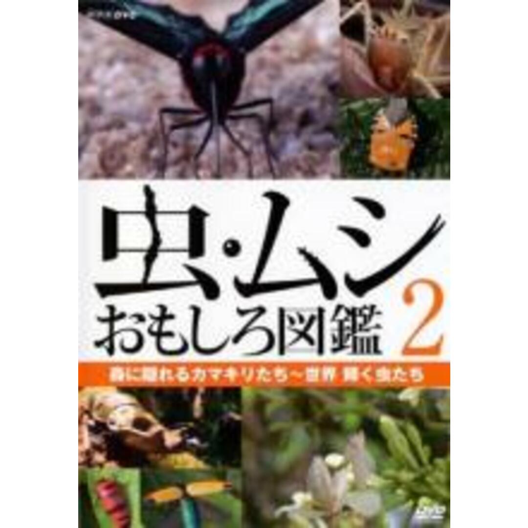 【中古】DVD▼虫・ムシ おもしろ図鑑 2 森に隠れるカマキリたち 世界 輝く虫たち レンタル落ち エンタメ/ホビーのDVD/ブルーレイ(キッズ/ファミリー)の商品写真
