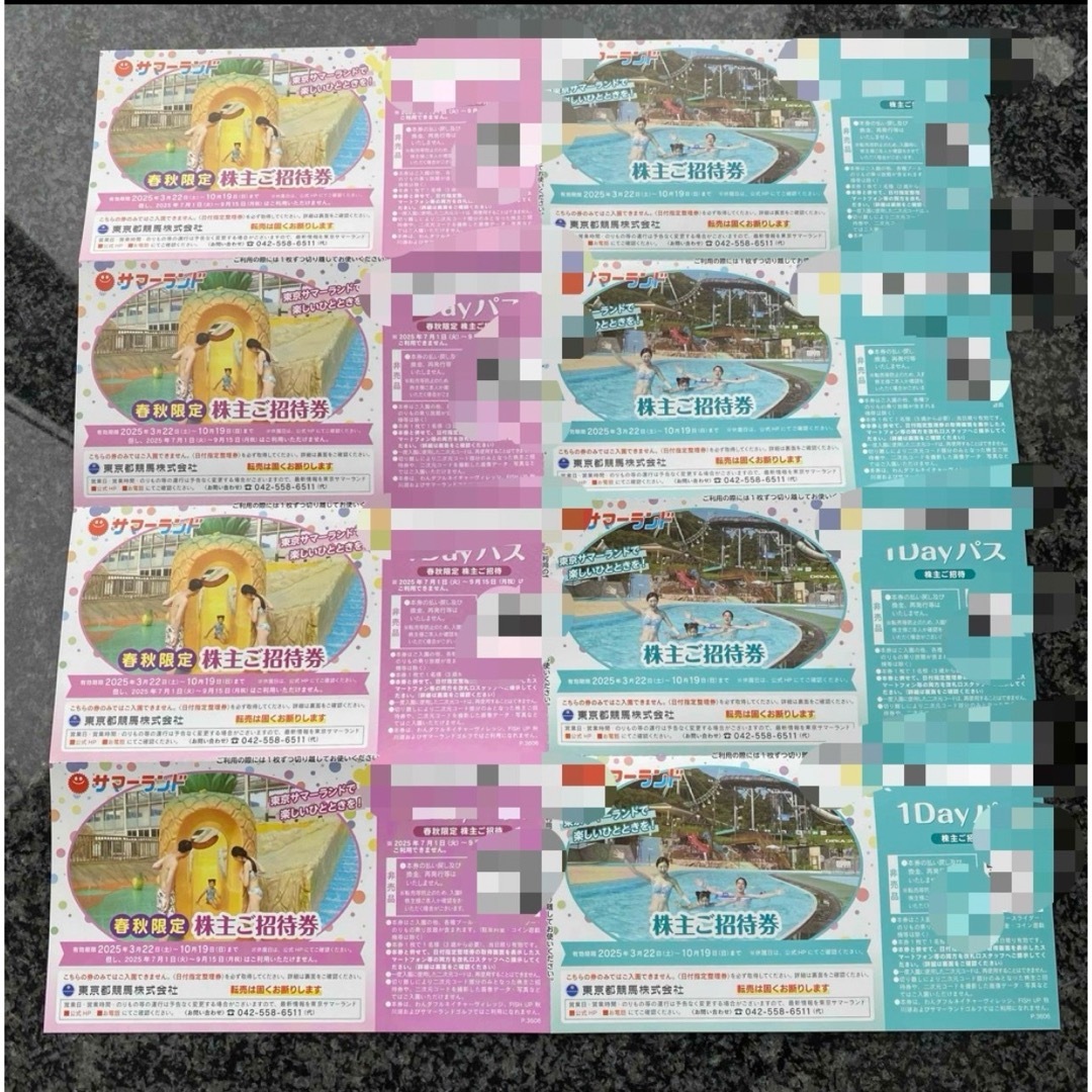 東京サマーランド 株主ご招待券(8枚) チケットの施設利用券(遊園地/テーマパーク)の商品写真