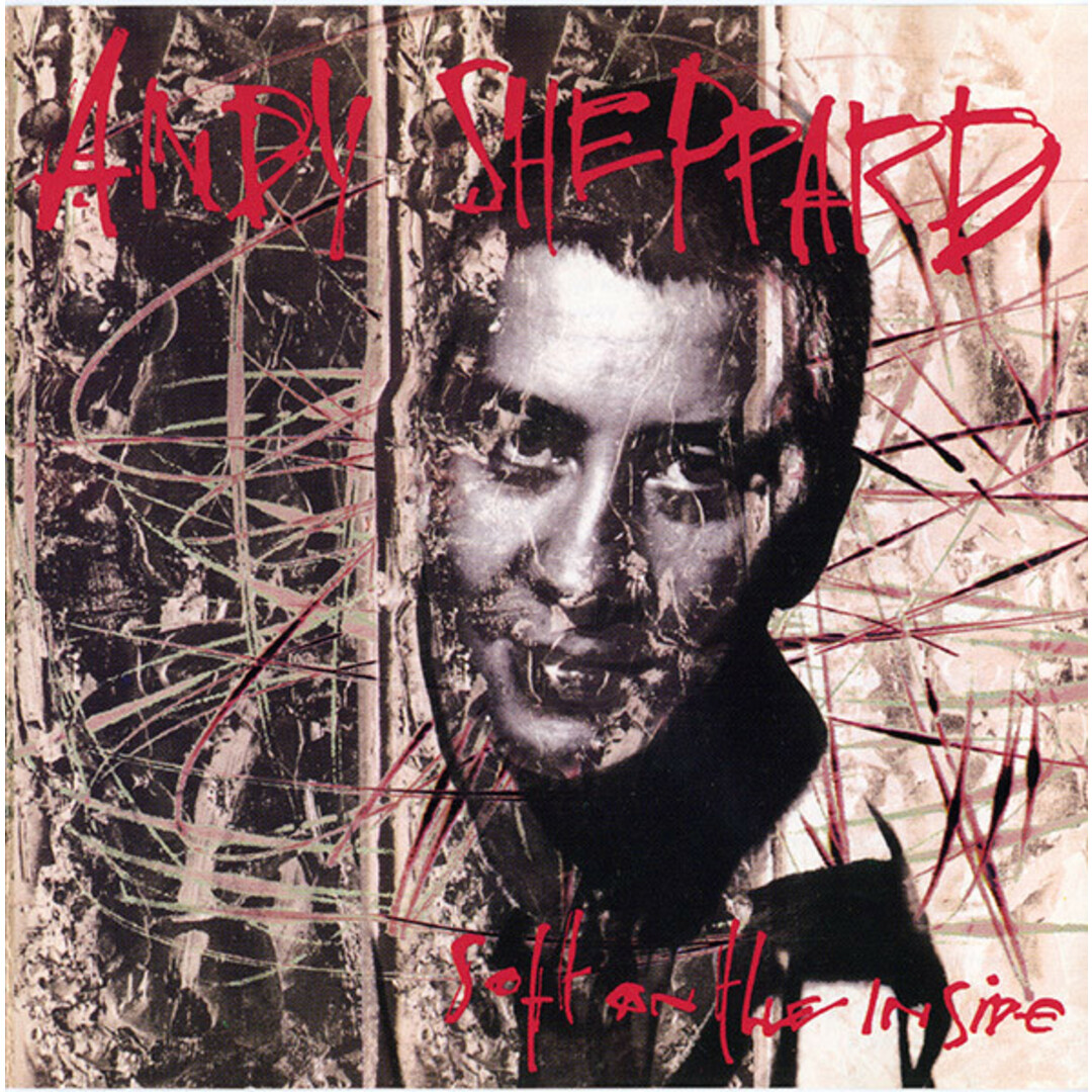 米CD Andy Sheppard Soft On The Inside 4228429272 Island Records, Antilles New Directions /00110 エンタメ/ホビーのCD(クラブ/ダンス)の商品写真