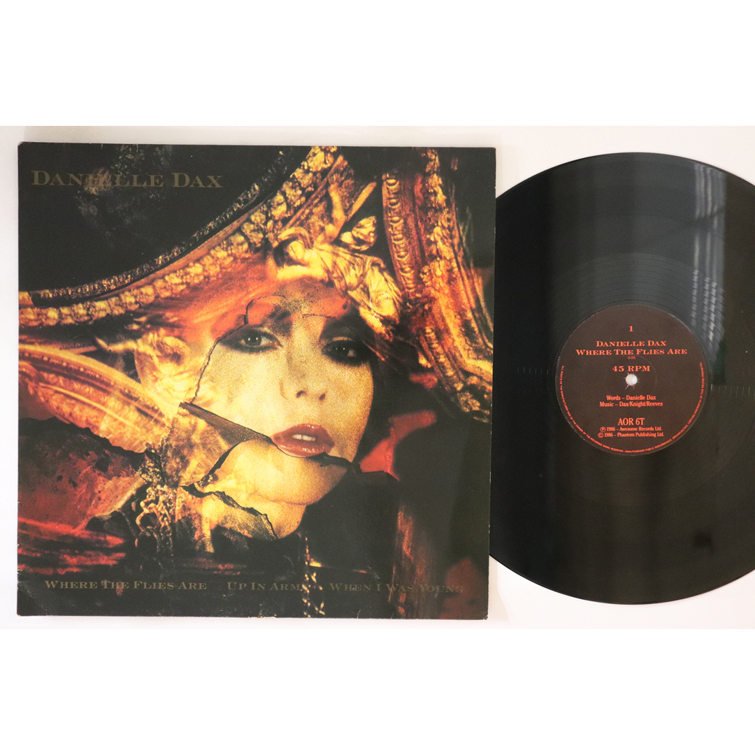 英12” Danielle Dax Where The Flies Are AOR6T AWESOME RECORDS /00250 エンタメ/ホビーのエンタメ その他(その他)の商品写真