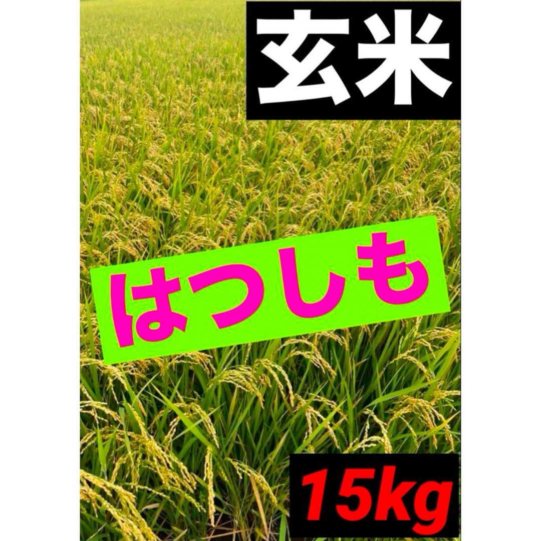 岐阜ブランド米 令和6年度『岐阜ハツシモ』新米 (玄米)15キロ お米 ラストD 食品/飲料/酒の食品(米/穀物)の商品写真
