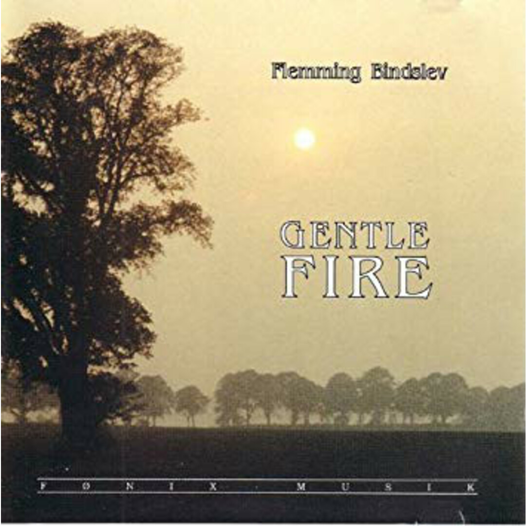 デンマークCD Flemming Bindslev Gentle Fire FMFCD1044 F?nix Musik /00110 エンタメ/ホビーのCD(クラブ/ダンス)の商品写真