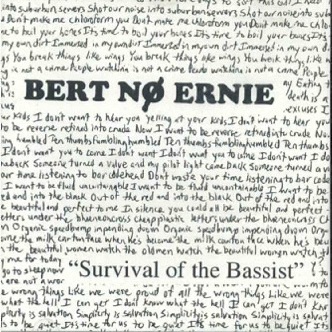 CD Bert No Ernie Survival Of The Bassist NONE NOT ON LABEL /00110 エンタメ/ホビーのCD(ポップス/ロック(洋楽))の商品写真