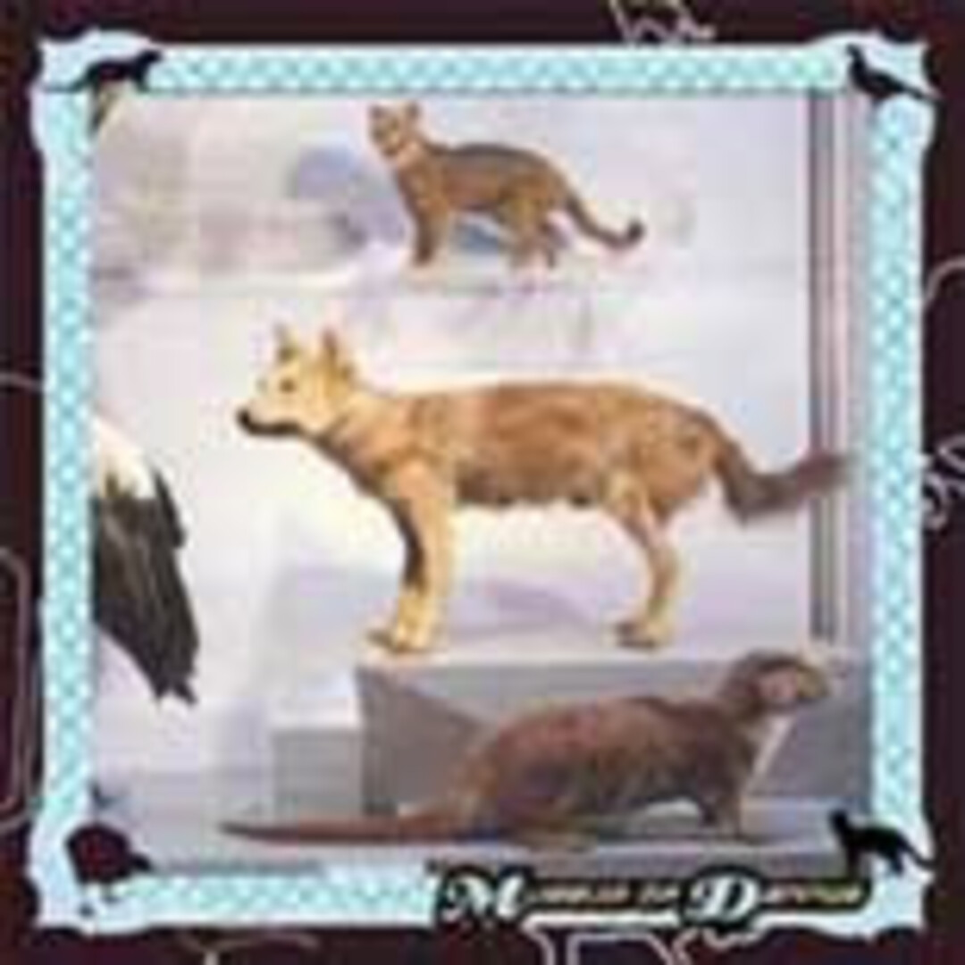 米CD Cohen, Danny Museum of Dannys TZ7405 Tzadik /00110 エンタメ/ホビーのCD(ポップス/ロック(洋楽))の商品写真