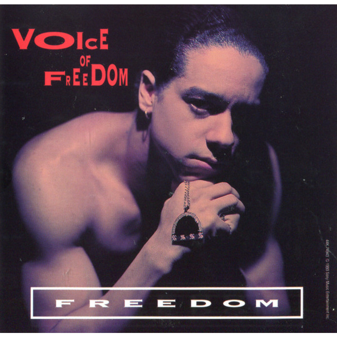 米CD Freedom Williams Voice of Freedom 44K74943 Columbia /00110 エンタメ/ホビーのCD(クラブ/ダンス)の商品写真
