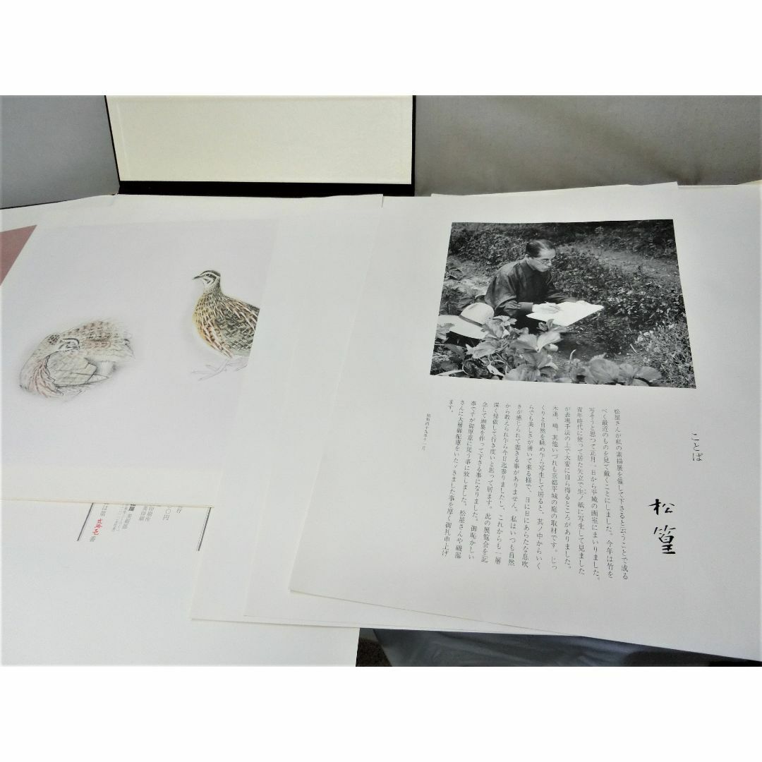 【上村松篁　松篁素描　限定発行部数　銀座松屋　定価10万の商品】◆絵画　美術工芸