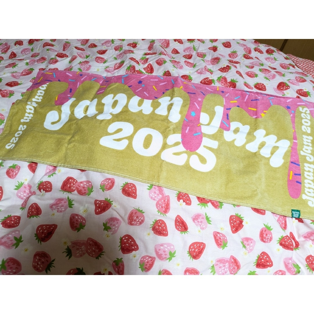 ジャパンジャム 2025 チケットの音楽(音楽フェス)の商品写真