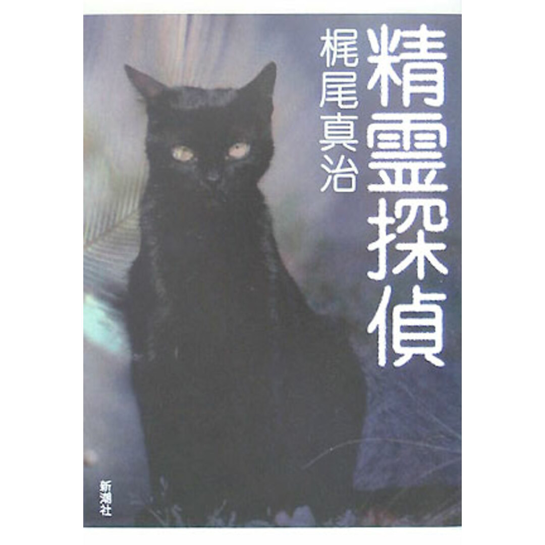 精霊探偵 /新潮社/梶尾真治(単行本) エンタメ/ホビーの本(文学/小説)の商品写真