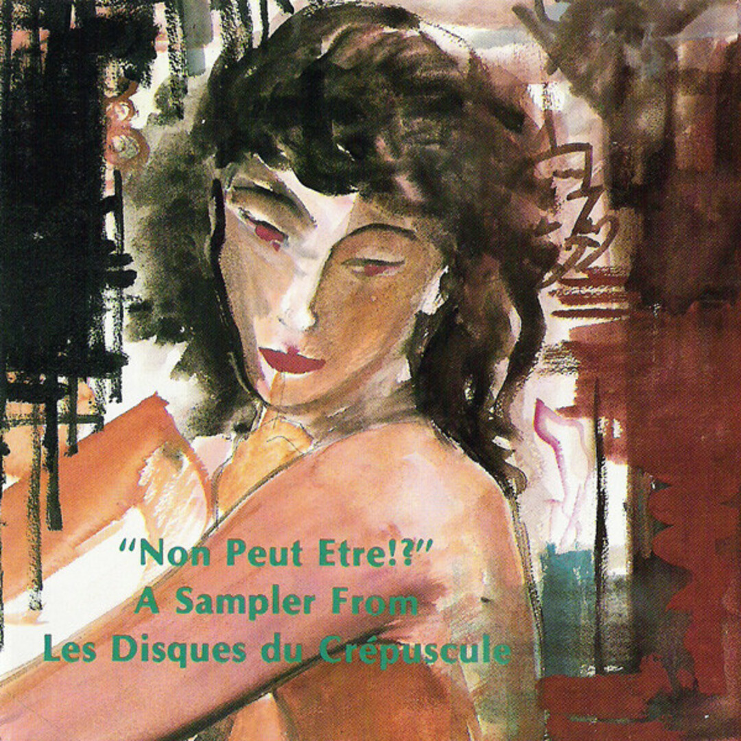 輸入CD Various Non Peut Etre!? - A Sampler From Les Disques Du Cr?puscule CMCD1000 Les Disques Du Cr?puscule /00110 エンタメ/ホビーのCD(クラブ/ダンス)の商品写真