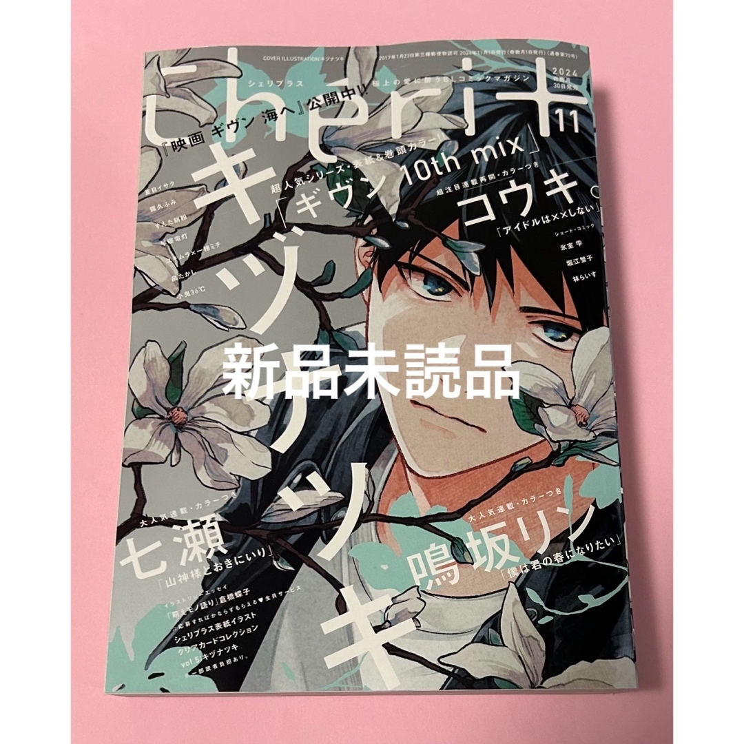 シェリプラス 11月号 アンケートハガキ無し エンタメ/ホビーの漫画(ボーイズラブ(BL))の商品写真