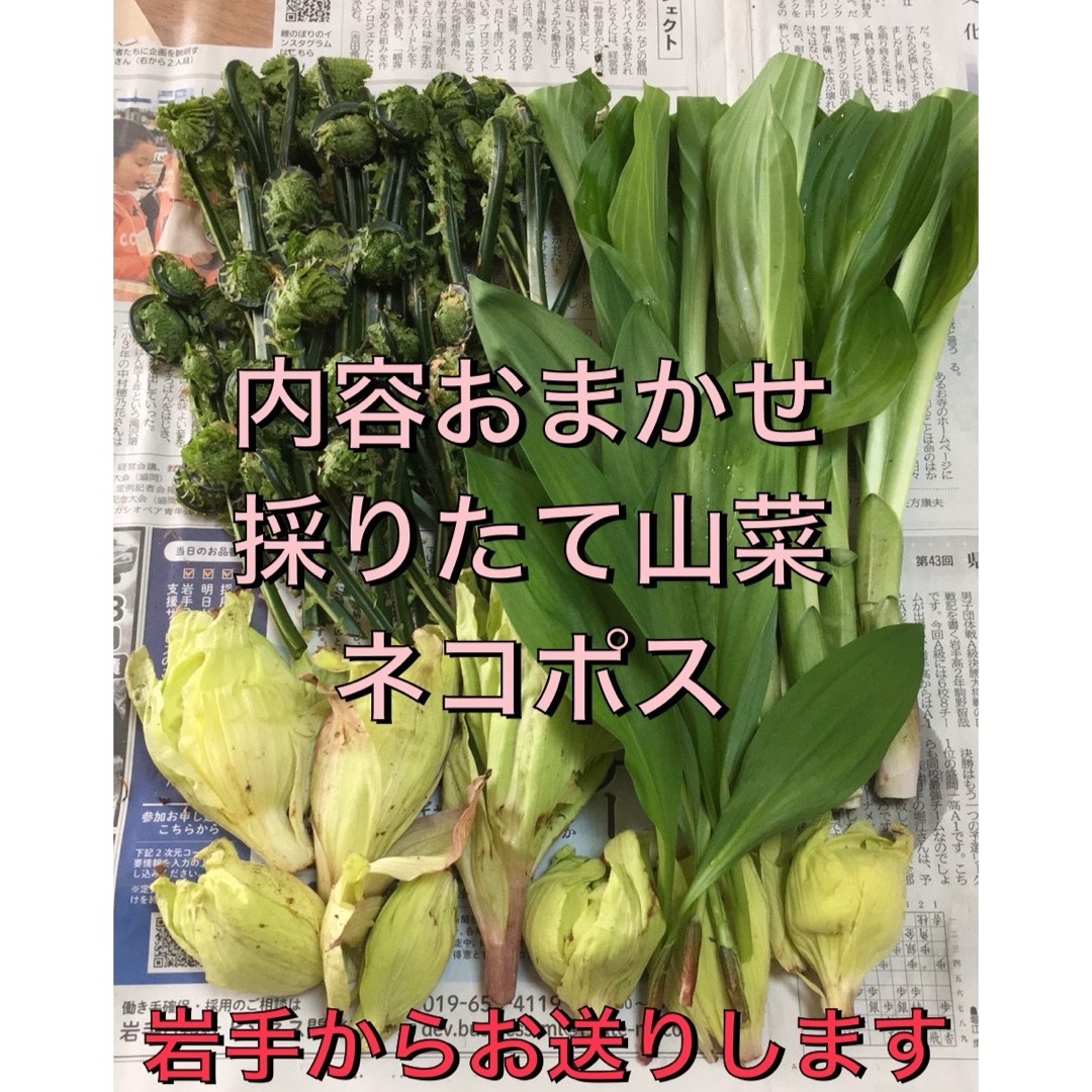 山菜おまかせ ネコポス 食品/飲料/酒の食品(野菜)の商品写真
