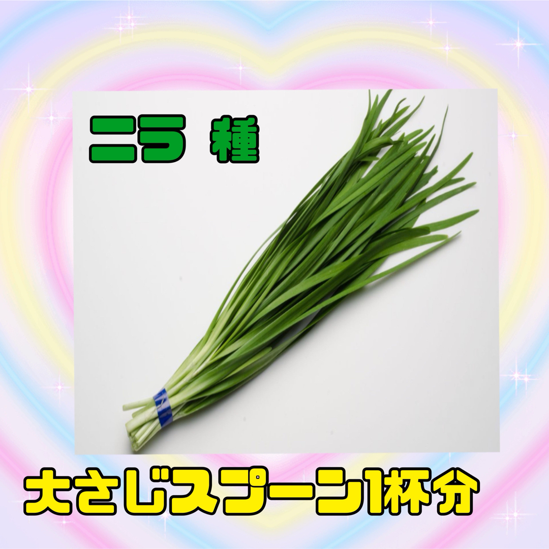 ニラ 種 食品/飲料/酒の食品(野菜)の商品写真
