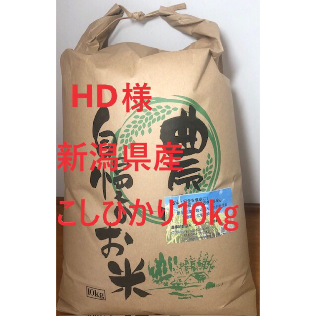 コシヒカリ10kg 食品/飲料/酒の食品(米/穀物)の商品写真
