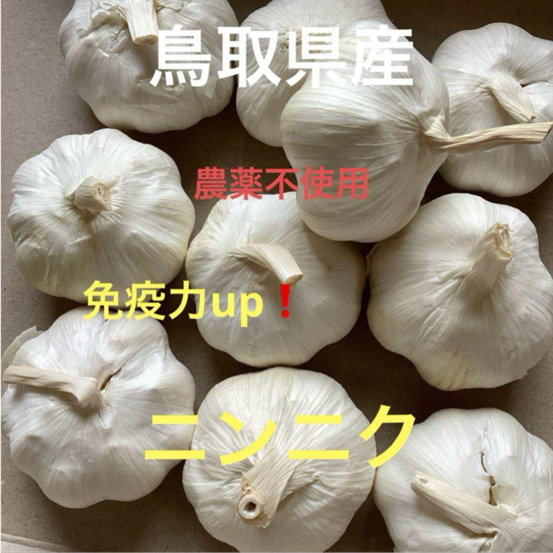 鳥取県産 農薬不使用 ニンニク 食品/飲料/酒の食品(野菜)の商品写真