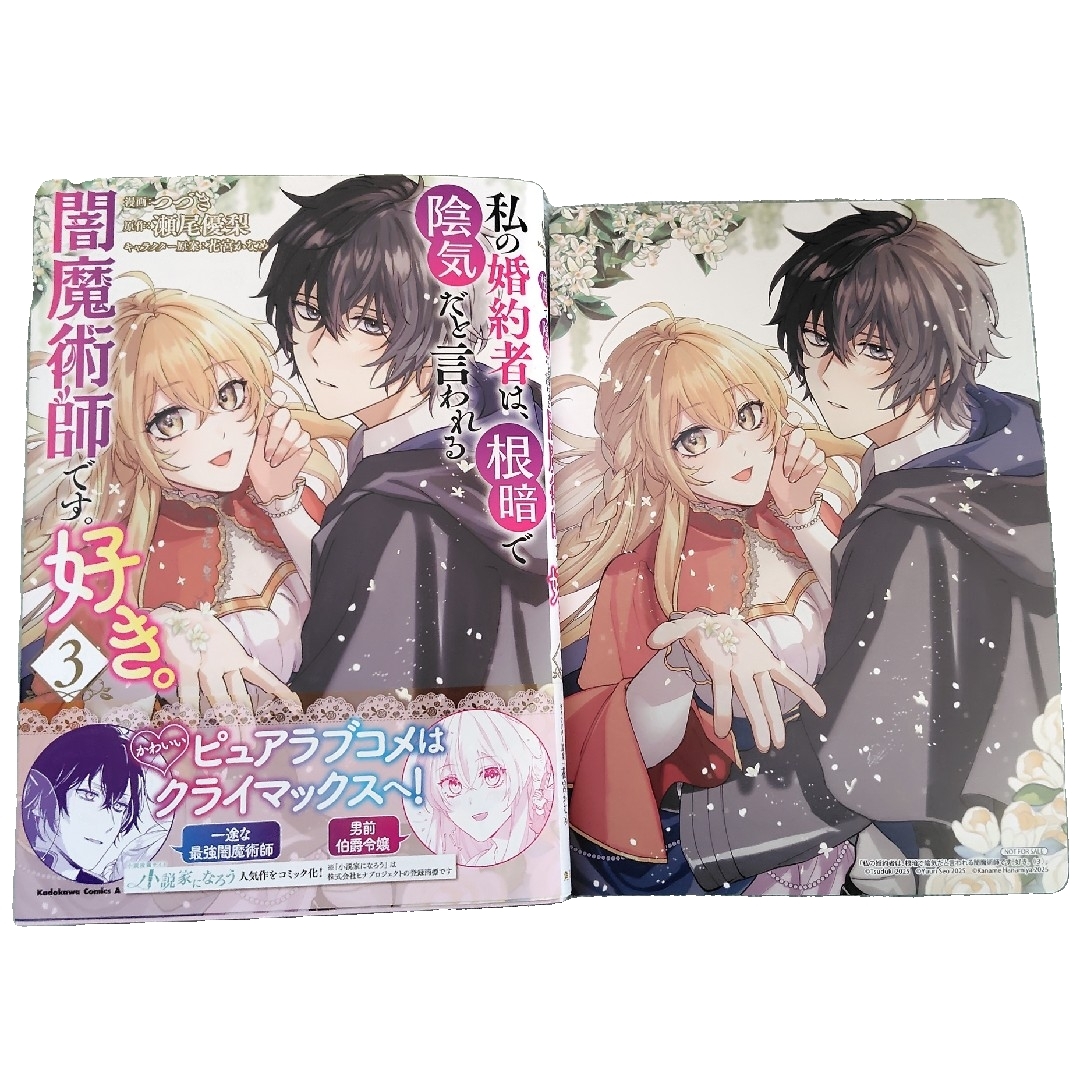 角川書店(カドカワショテン)の私の婚約者は、根暗で陰気だと言われる闇魔術師です。好き。 エンタメ/ホビーの漫画(青年漫画)の商品写真