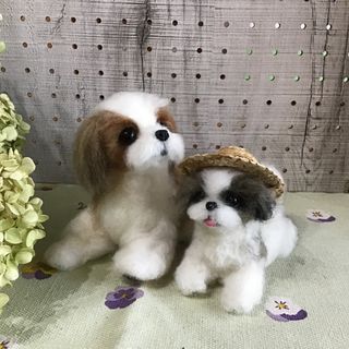 シーズー2点セット