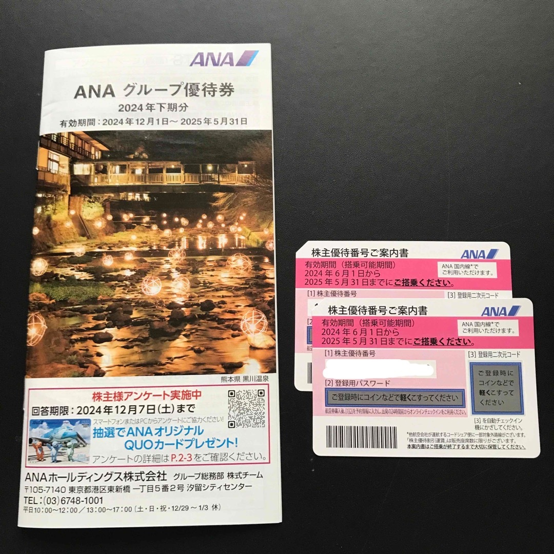 ANA(全日本空輸)(エーエヌエー(ゼンニッポンクウユ))のANA株主優待券2枚 2025.5月末まで チケットの優待券/割引券(その他)の商品写真