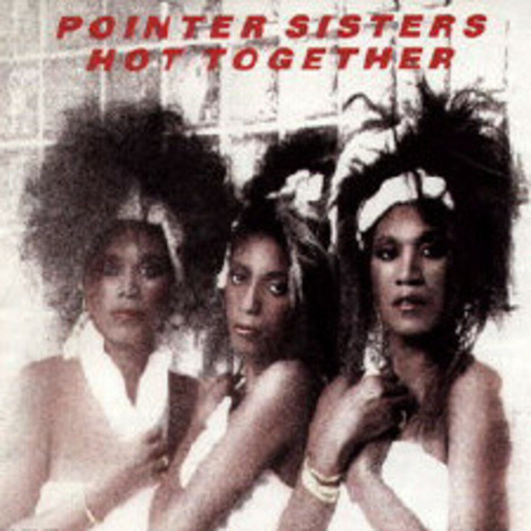 米LP Pointer Sisters Hot Together AJL15609 RCA /00260 エンタメ/ホビーのエンタメ その他(その他)の商品写真